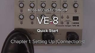 BOSS - VE-8 | Acoustic Singer
