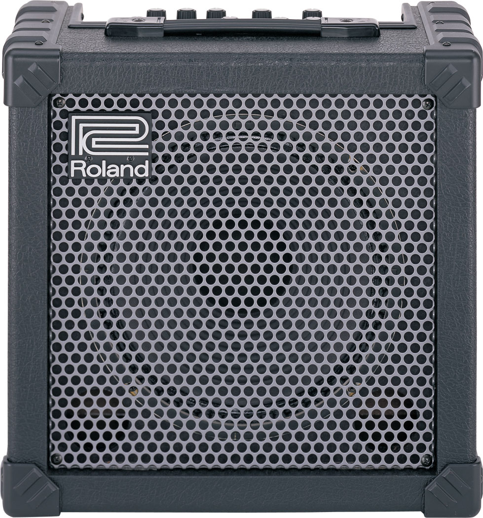 Roland - CUBE 30 | Guitar Amplifier