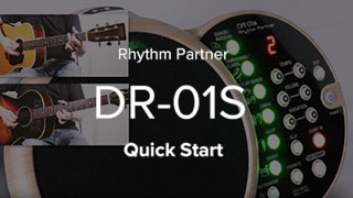 DR-01S Hızlı Başlangıç