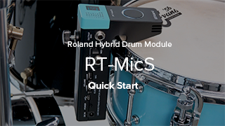 RT-MicS Quick Start