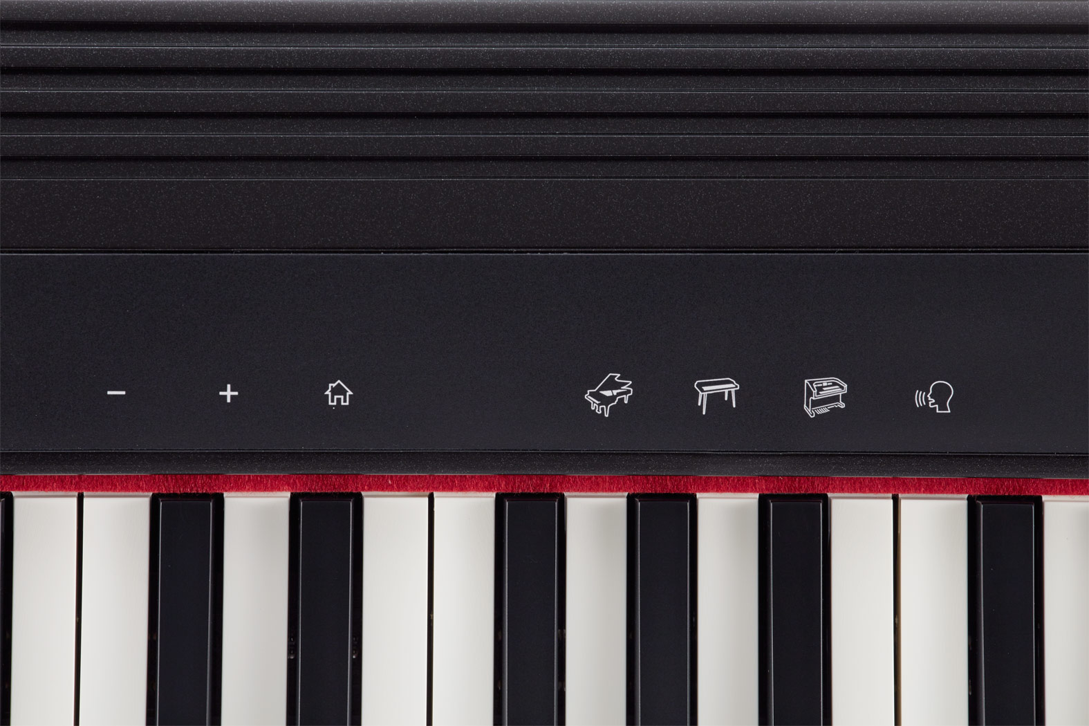 Roland - GO:PIANO | 數位鋼琴Digital Piano (GO-61P)