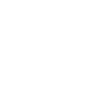 HDMI Camera